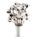 20Pcs 24 Inches Natural Dried Cotton Stem, Farmhouse Artificial Flower FilleP9B8