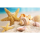 5D DIY Full Drill Diamond Painting Conch Cross Stitch Embroidery Mosaic Kit