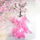 Dream catcher Hanging Decoration for Wall Window Car House -