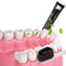 Bamboo Activated Charcoal Toothpaste Freshens Breath Stain Remover