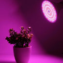290 LEDs E27 Plants LED Grow Light Indoor Hydroponic Vegetable Growing Lamp