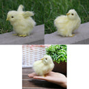 3Pcs/Set Realistic Lifelike Easter Baby Chicks Synthetic Furry Farm Animal Prop,