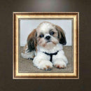 5D Diy Diamond Cute Dog Painting Embroidery Cross Stitch Home Decor Handicr Z7G7