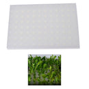 96Slots Seedling Sponge Soilless Hydroponic Vegetables Nursery Pots Seedling Gw