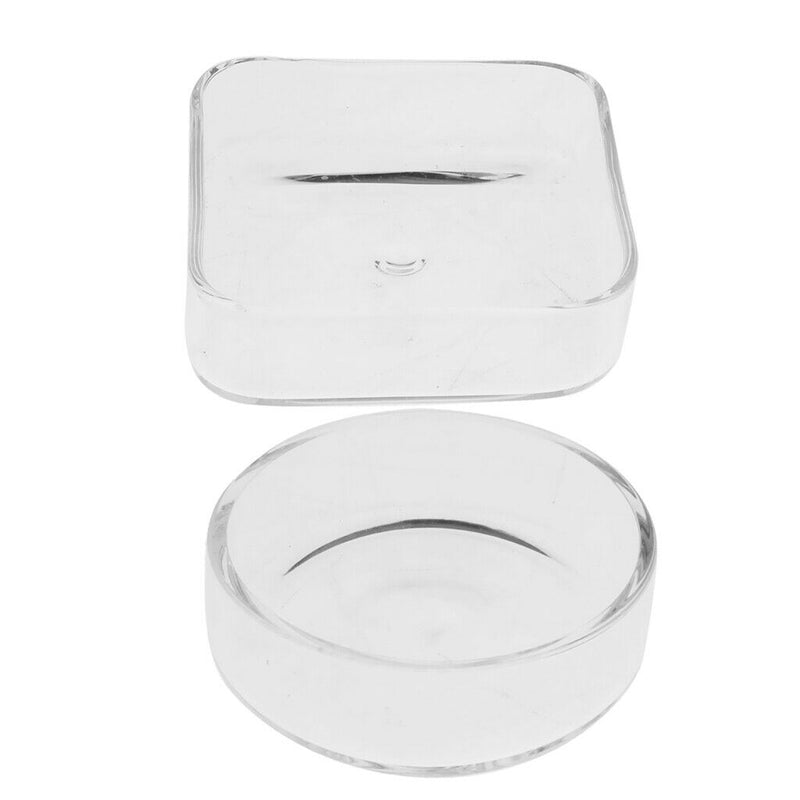 2 Pieces Shrimp Feed Plate Kitchen Accessories Comfortable Glass Material