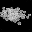 100PCS 40.6MM Round Coin Case Storage Box Plastic Coin Collecting Holder Acrylic
