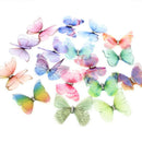 50Pcs Gradient Color Organza Fabric Butterfly Appliques 38Mm Translucent Ch