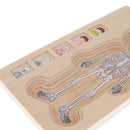 5-Layer Wooden Boy Body Puzzle, Help Your Boy Learn His Own Body Structure
