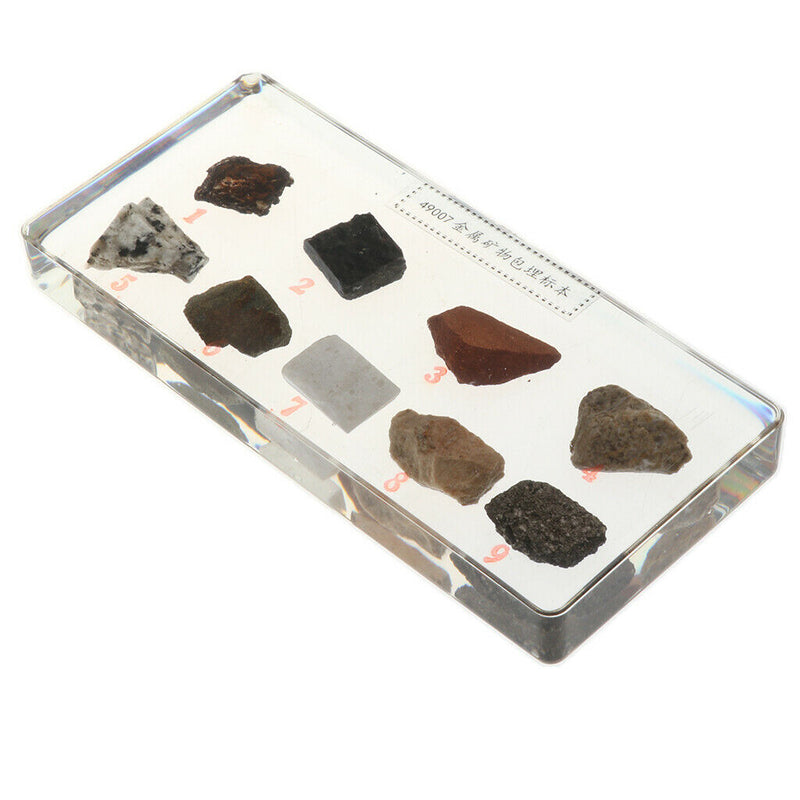 Real Rock And Mineral Geology Science Specimen Paperweight Collectible Gift