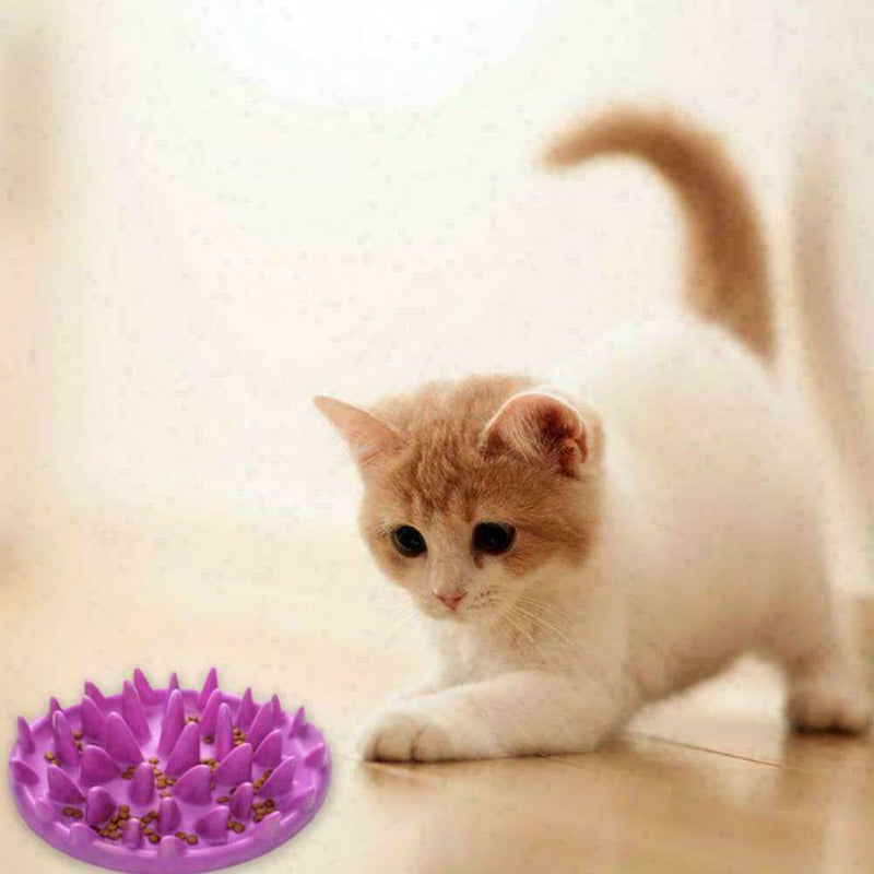 Gulping Feeders Bowls Catch Interactive Hard Silicone New Kitten Food Slow X4G5