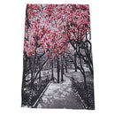Blossoms In Central Park Cherry Bloom Trees Forest Spring Springtime Landsc D5W7