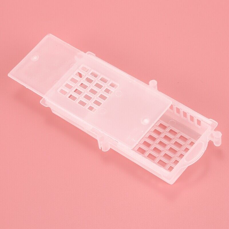 Bee Tools Bee Transport Cages Beekeeping Equipment Queen House Beehive Whit