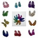 50 pcs Feather of cock Applique Sewing Decor Garment Hat DIY Jewelry 5-10 c A1B9