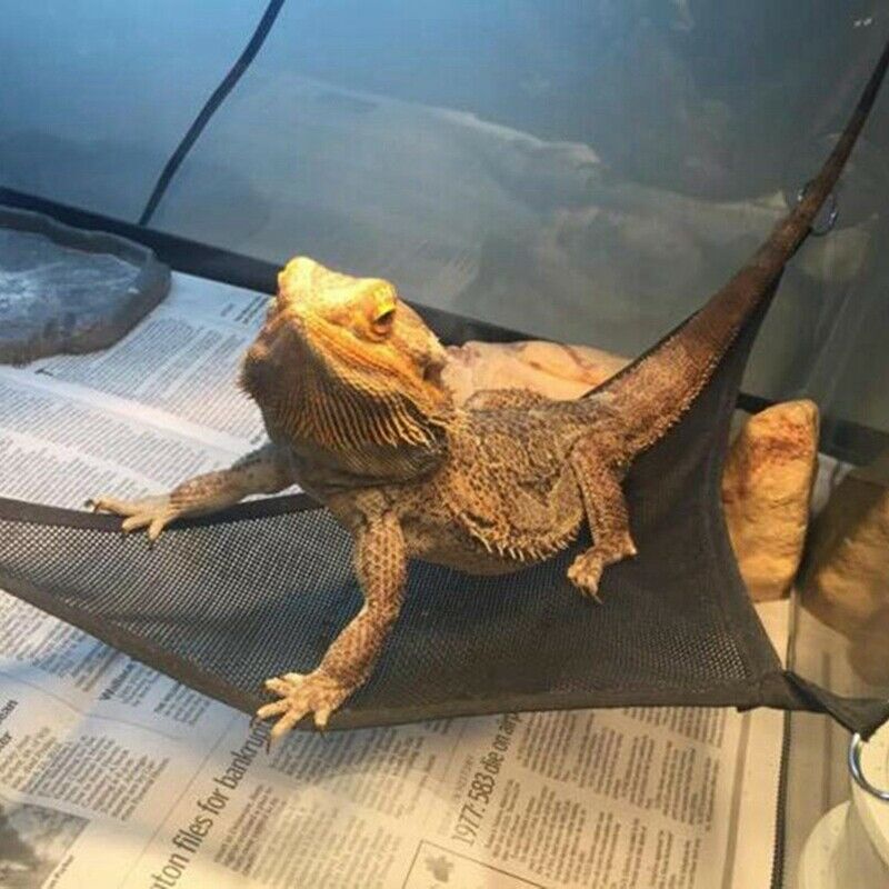 Reptile Hammock Lounger Ladder Accessories Set For Large Small Bearded Drag Q7H8