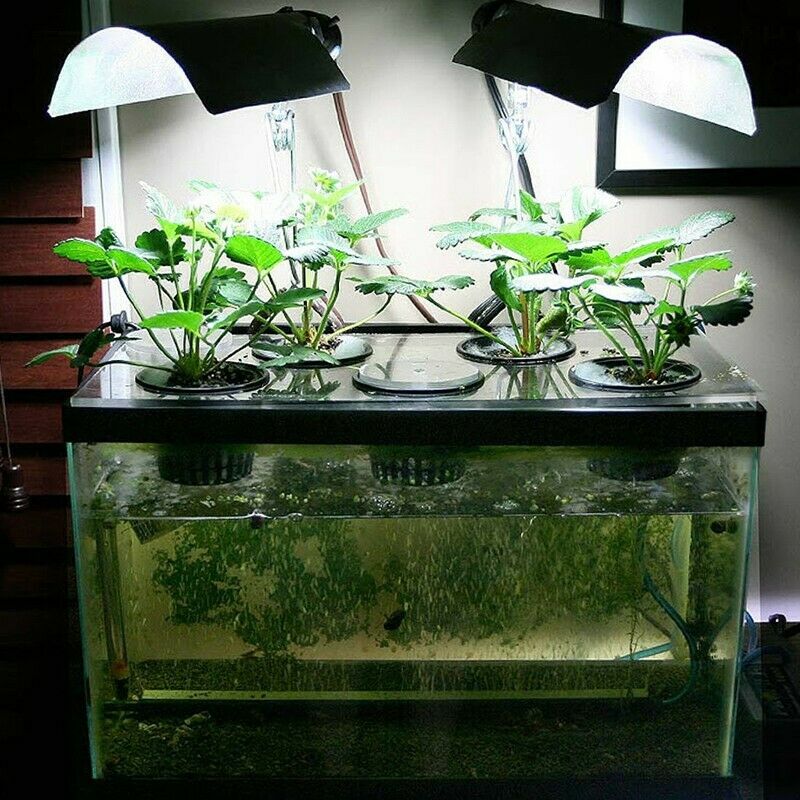 Gray Airstone Bubble Aerator Air Curtain Pump for Aquarium Fish Tank 2pcs D6F3