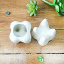 Tooth Shape White Ceramic Flower Pot Modern Design Decor Teeth Desktops Pla J7A6