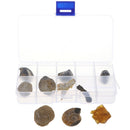10Pcs Fossils Collection Kit w/ Display Box for Kids Early Biology Learning