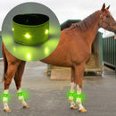 LED Horse Leg Strap Neoprene Durable Belt Night Visible Legging Decor Safety