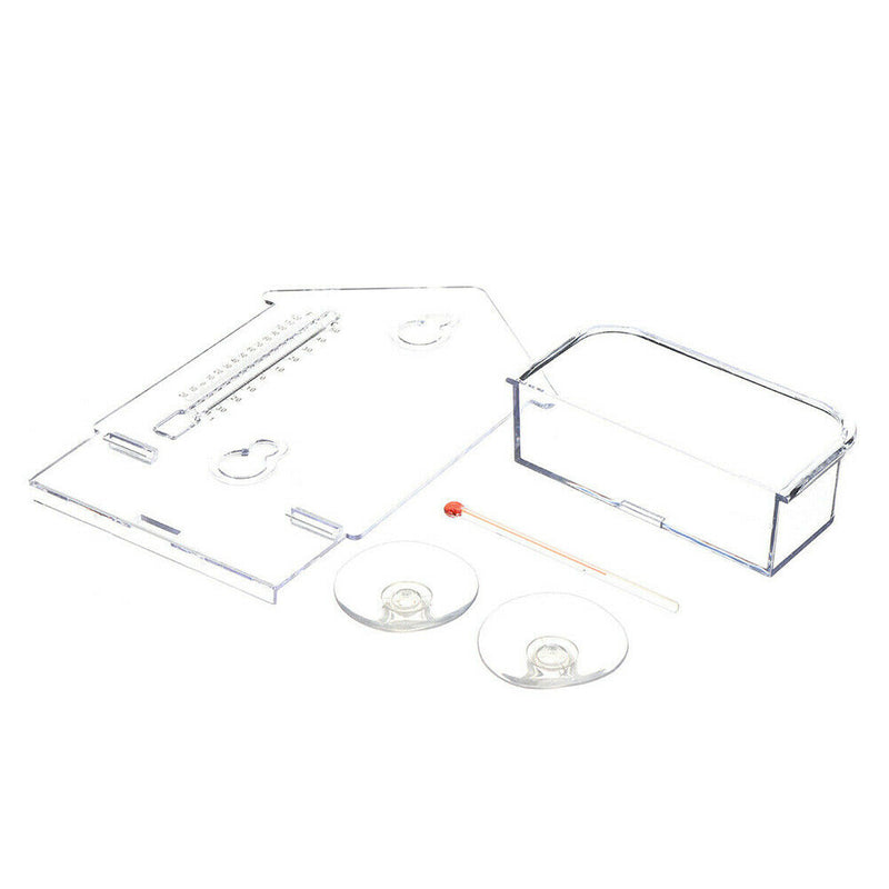 Transparent PVC With Thermometer Home Pet Supplies Practical Window Bird Feeder