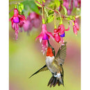 5D DIY Full Drill Diamond Painting Spiritual Bird Cross Stitch (B1051)