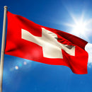 12Pcs Olympic Hand Waving Switzerland Flag Small Banners 8 x 5"+White Pole