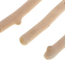 250g Lots Assorted Driftwood Branches Large Pieces Pieces Display Crafts Wreaths