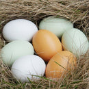 10Pcs Wooden Eggs Creative Diy Handmade Materials Graffiti Toys Kitchen Chi