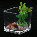 Tabletop Square Aquarium Fish Glass Vase Tank Plant Home Decoration 10x10x10cm