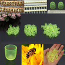100pcs Beekeeping Cell Cup Royal Jelly Cups Set Queen Bee Rearing Equipment BX