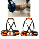 Dog Support Harness Dogs Sling Lift For Paralyzed Legs Pets Dogs 2 Pack