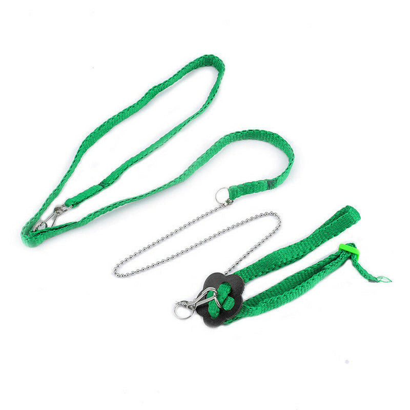 1Pc Adjustable Washable Nylon Pet Bird Parrot Harness Leash Outdoor Walking Rope