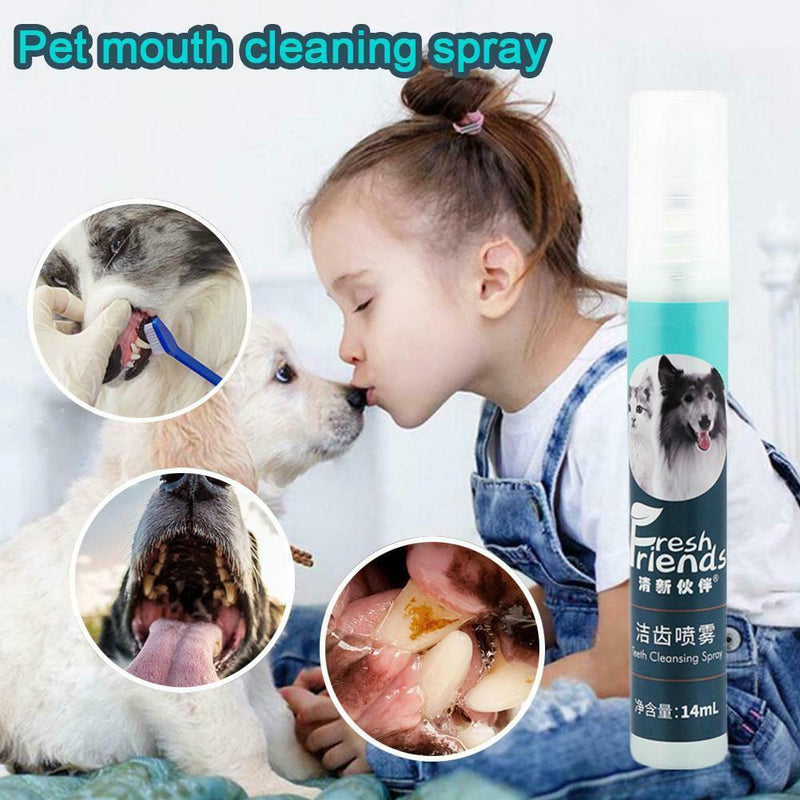 Hygiene Dental Care Liquid Pet Oral Spray Pet Mouth Cleaning Sterilize Clean