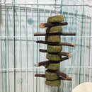 Bunny Chew Toys for Teeth, Organic  Wood Molar Sticks