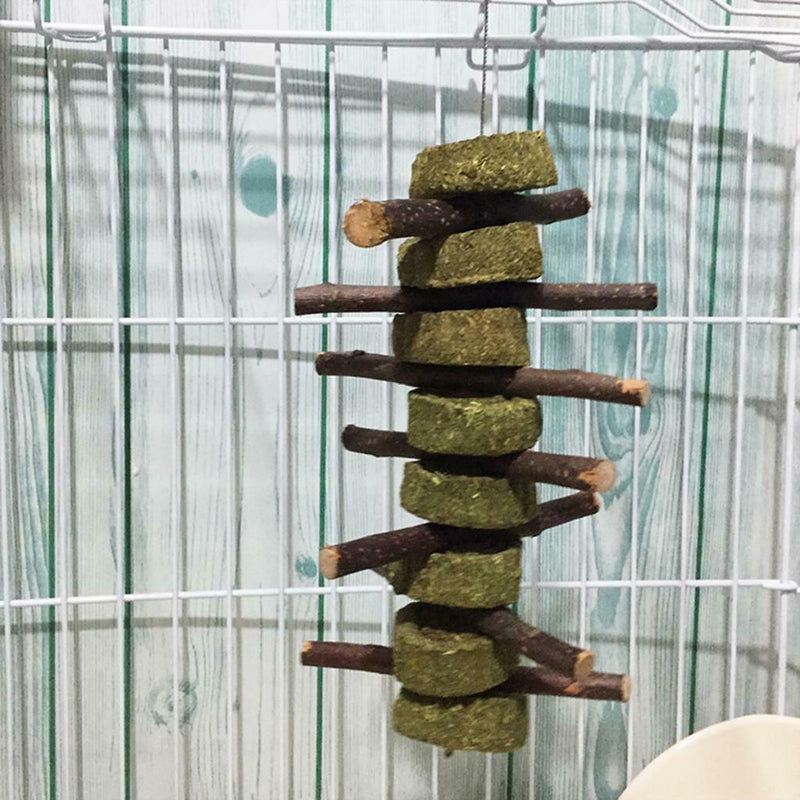 Bunny Chew Toys for Teeth, Organic  Wood Molar Sticks