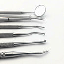 6pcs/set Stainless Steel Dental Tools Tooth Dentist Hygiene Explorer Instruments