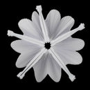 5 PCS Romantic Heart Shape Wedding Anniversary Hand Held Folding Paper Fan  Q7M1
