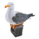 Creative Art Decor Seagull Bird Statue for Nautical Themed Room Ornament