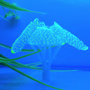 2Pcs Silicone Artificial Coral Plant for Aquarium Tank Underwater Decor --Yellow