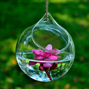 Hanging Glass Hydroponic Flowers Vase Garden Terrarium Container Holder