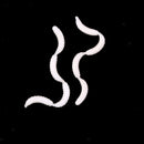 120Pcs/Box White Fishing Maggots Soft Worms Lures Strong Fishy Fishing Baits