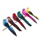 Simulation Feather Foam colorful bird Garden Bird lawn Prop DecorationEBJ ouJ Kw