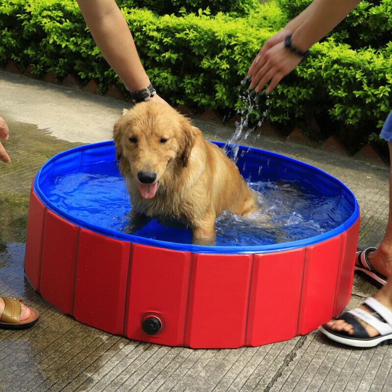 Pet Bathtub Summer Foldable Dog Cat Swimming Pool PVC Dogs Clean Bathing  OZ