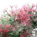 9.8" Length Artificial Plastic Fish Tank Decor Grass Plant Red Green G7Y8