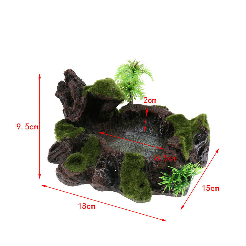 Plant Moss Decor Reptile Feeding Bowl Tortoise Gecko Bearded Dragon Water Dish