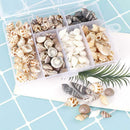 Seashells Corn Screw Wall Decoration DIY Aquarium Landscape  New