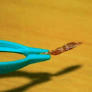 Reptile Plastic Feeding Tongs Live Food Feeding Tweezers NICE