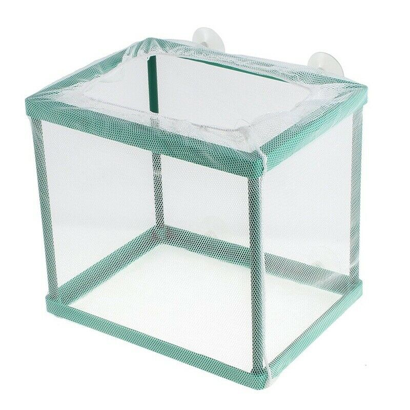 Breeding Hatchery Isolation Box Aquarium Net Breeder Bearer