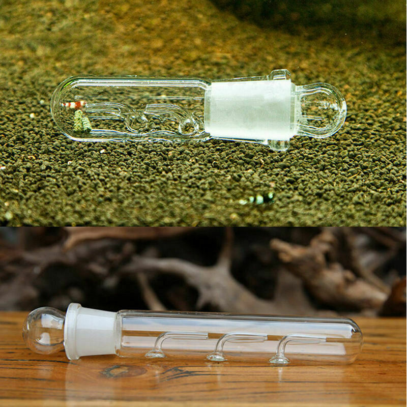 Glass Planaria Trap Worm Fang Finger Pen Shrimp Leech Catcher Three holes Z5N7