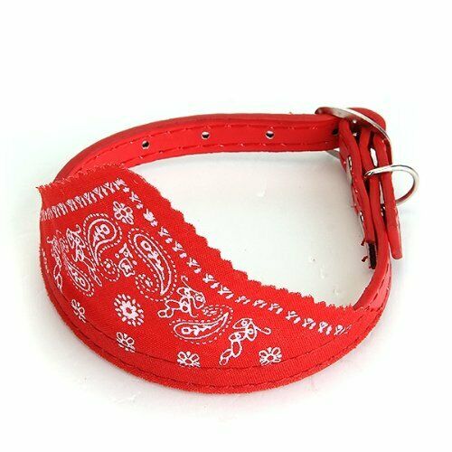 Dog Puppy Pet Bandana Scarf Paisley Pattern with Leather Collar Red S