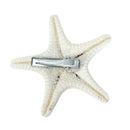 Natural Sea Star Girl Hair Stick Pins Lady Hair Clip Clamp Head Accessories